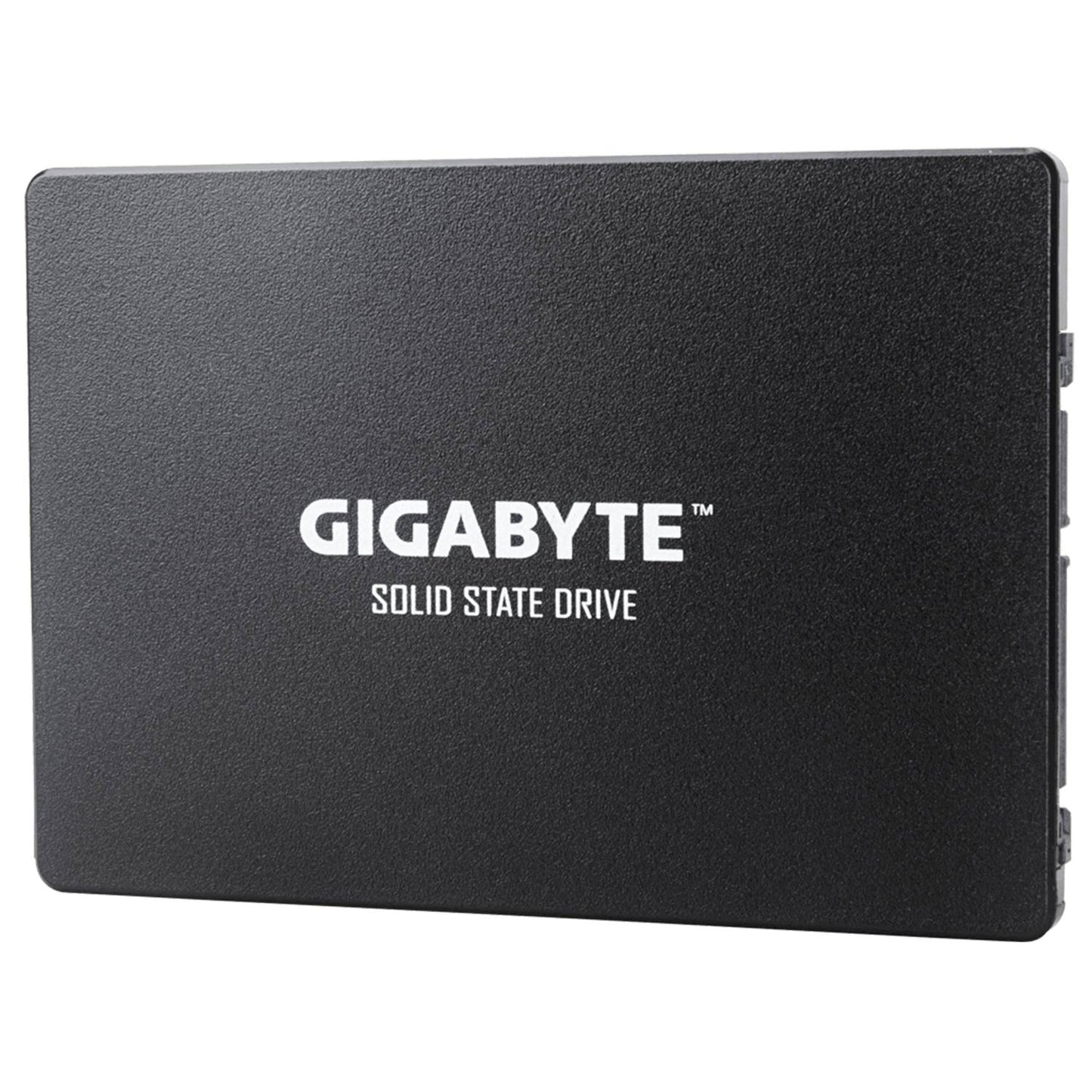 Disco Interno Gigabyte SSD 1TB GP-GSTFS31100TNTD